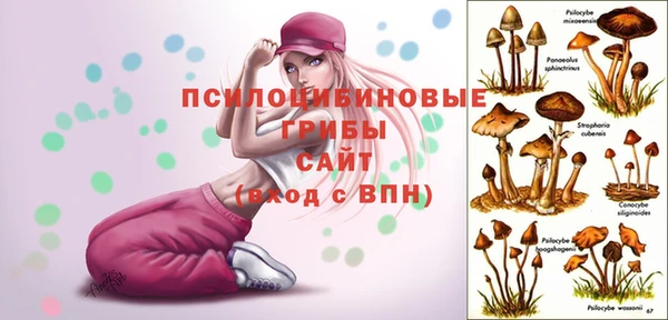 кокаин VHQ Белокуриха