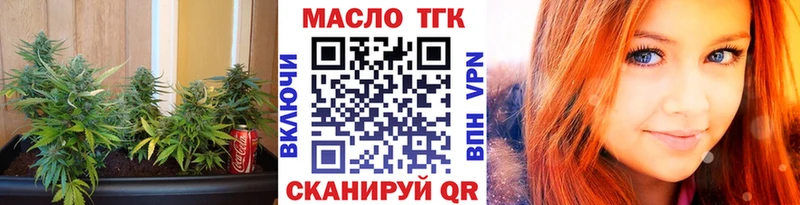 Купить закладки  Гусь-Хрустальный  ТГК вейп 